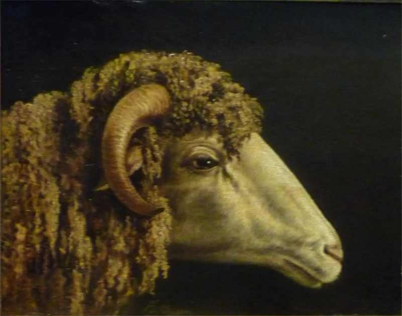 184-Studia per una testa di ariete - Musée des Beaux-Arts de Béziers 